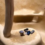 58622775 810202236000662 4269020835924148224 n