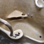 59229898 2429944137234245 6037373366925524992 n