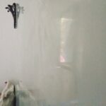 fb img 1761239431807